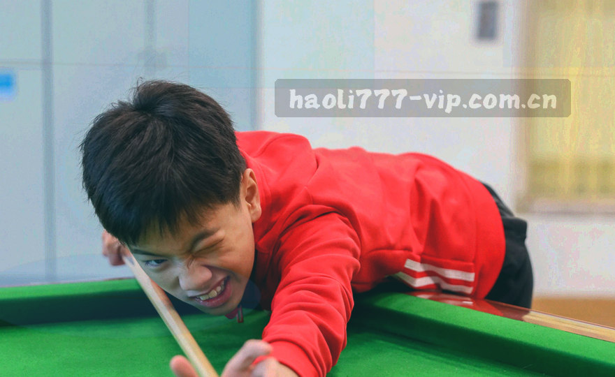 由一个中心节点分出四条分支路径的岗位结构示意图，四条分支末端分别标注复核、交付、区域合作与客户支持